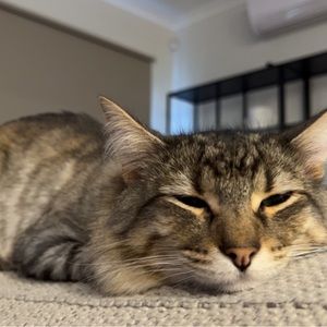 Meet your Posher, Ashleigh